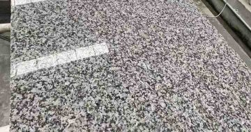 资阳 芙蓉白光面