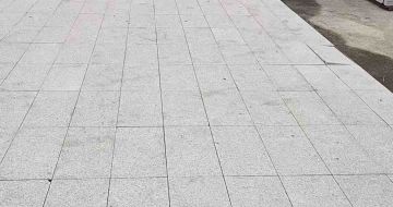 资阳芝麻白地铺案例