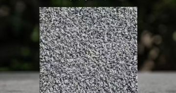 资阳 芝麻黑荔枝面