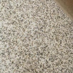 资阳 黄金麻中黄光面