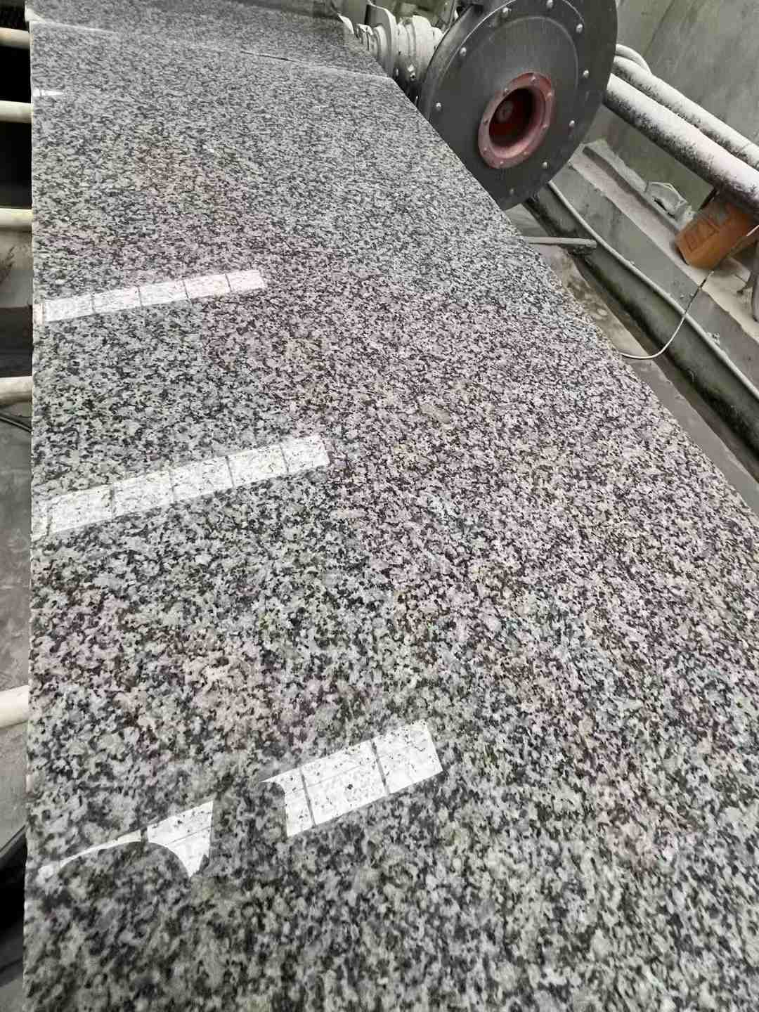 资阳 芙蓉白光面