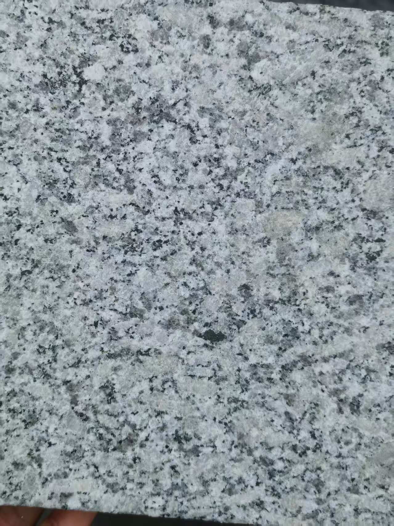 资阳 芙蓉白火烧面