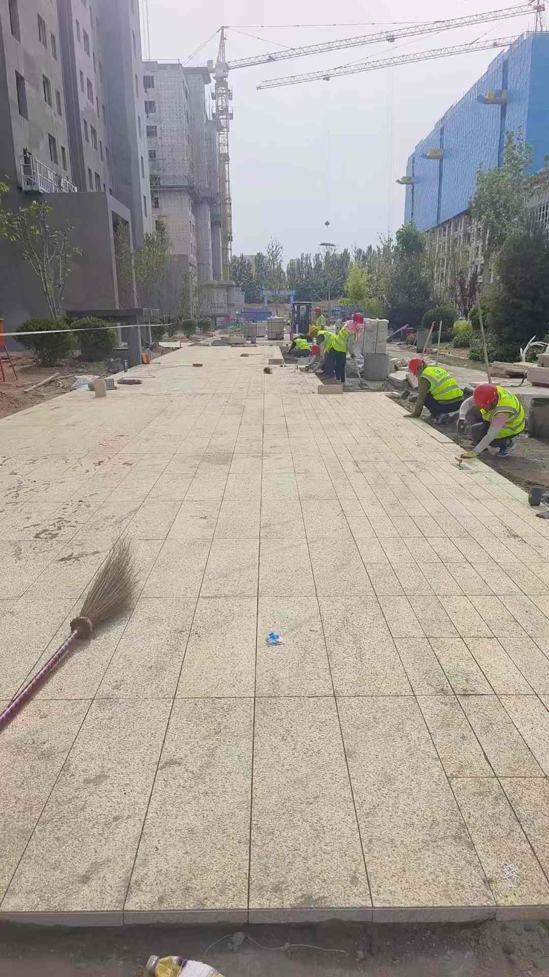 资阳黄金麻荔枝面地铺案例