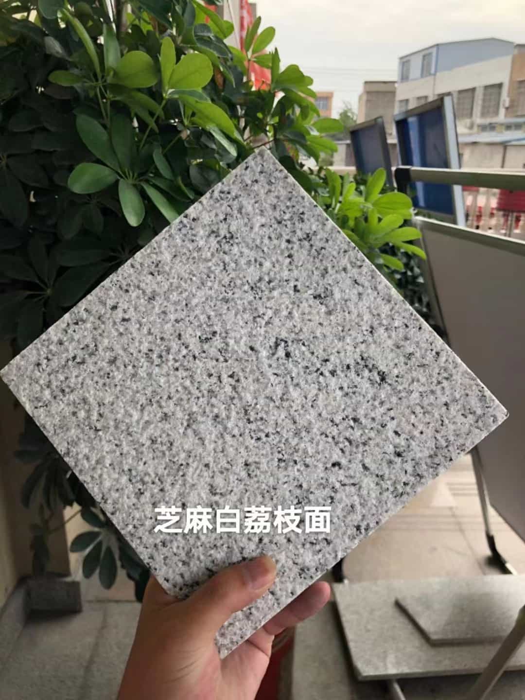 资阳 芝麻白荔枝面干挂