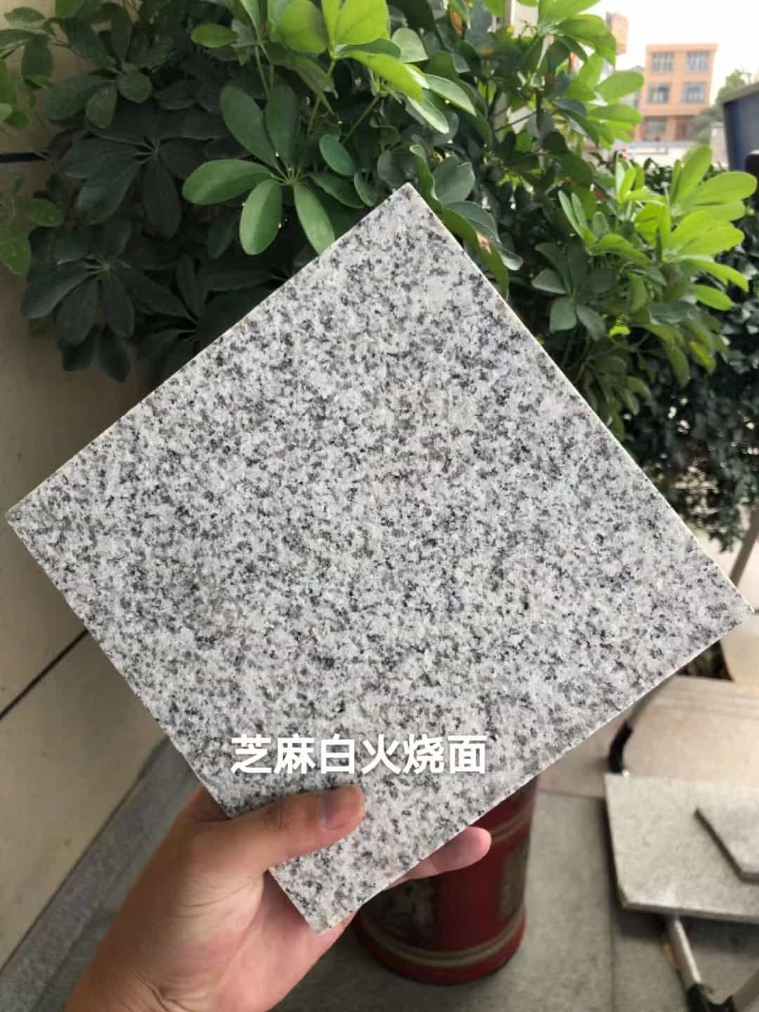 资阳芝麻白火烧面地铺